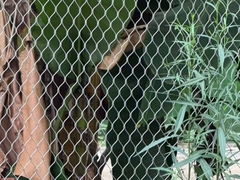 Сеть из нержавеющей стали сетка из металлической проволоки сетка ферруль зоопарк сетка бриллиантообразная сетка