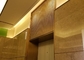 Золотые ячеистая сеть Ss 304 орнаментальная для лобби Hall лифтов