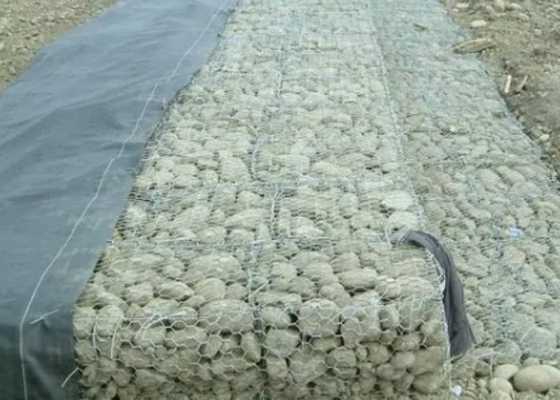 Темный ый-зелен Pvc покрыл отверстие сетки корзин 80mm*100mm Gabion для гражданского проекта