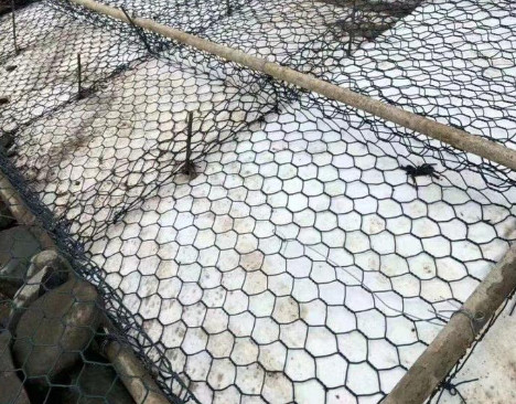 Темный ый-зелен Pvc покрыл отверстие сетки корзин 80mm*100mm Gabion для гражданского проекта