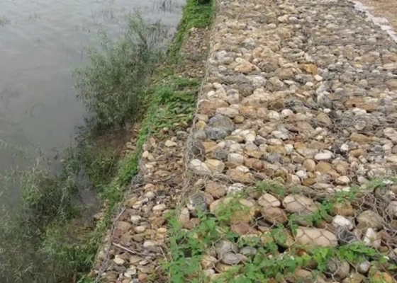 Pvc серого цвета покрыл шестиугольный диаметр провода коробки 2.8mm Gabion